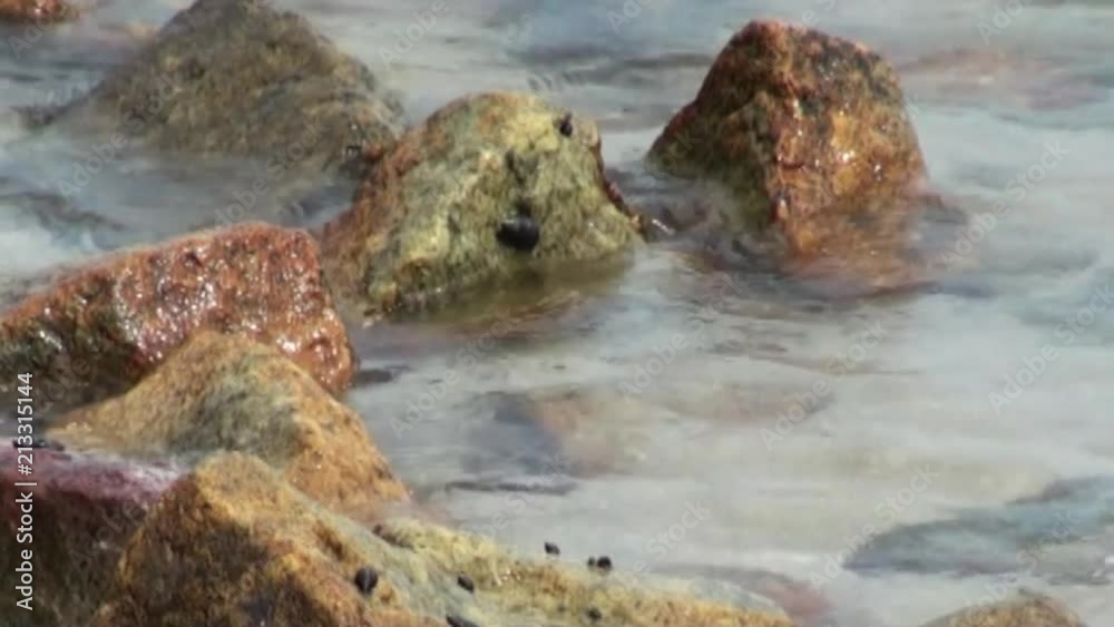 Rocks with flowing water Rocks with flowing water