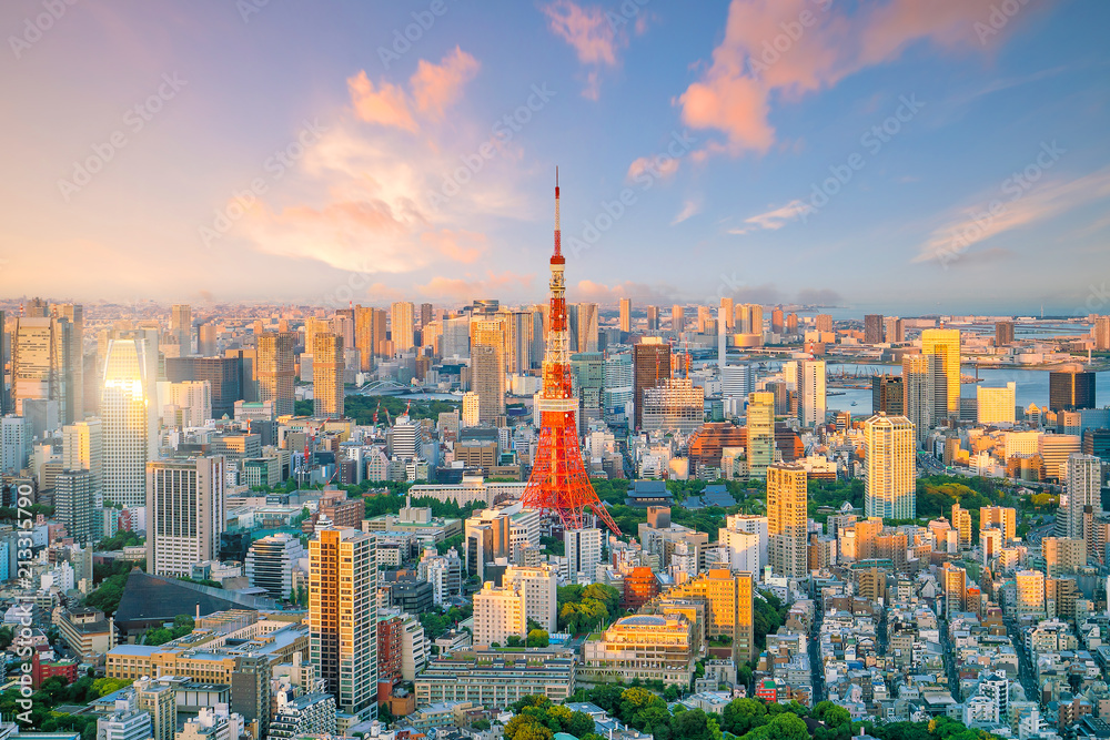 Naklejka premium Tokio skyline z Tokyo Tower w Japonii