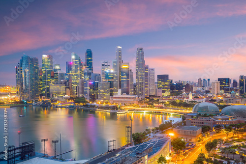 Singapore downtown skyline © f11photo