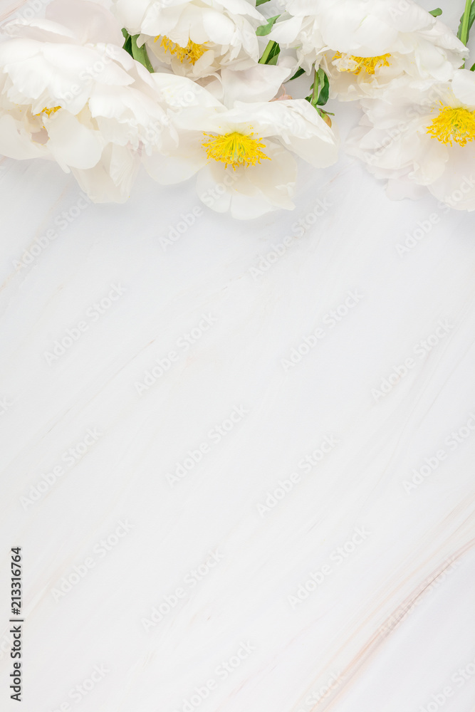 Obraz premium White peony flowers on marble background