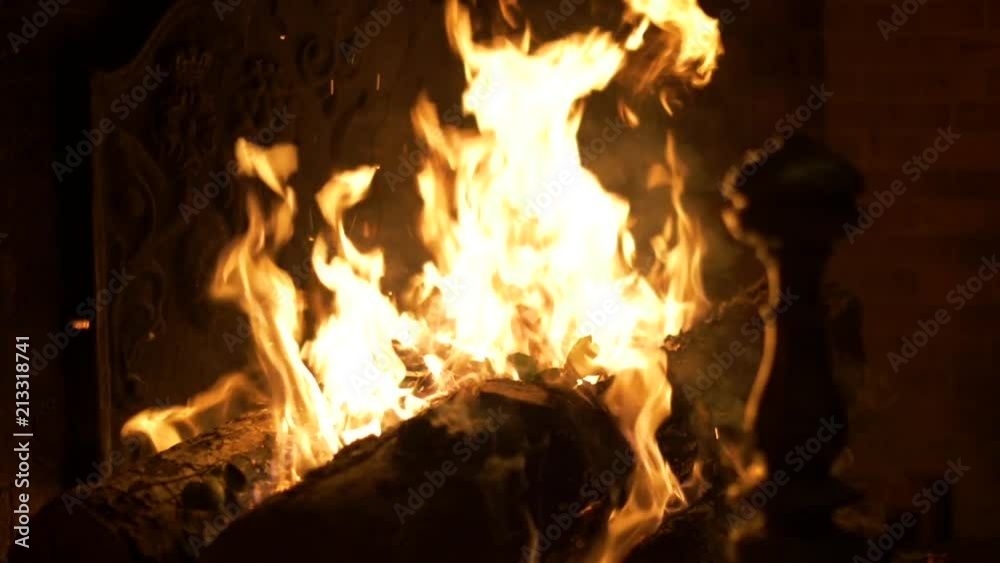 Throwing Leaves in Fireplace Slow Motion Throwing Leaves in Fireplace Slow Motion