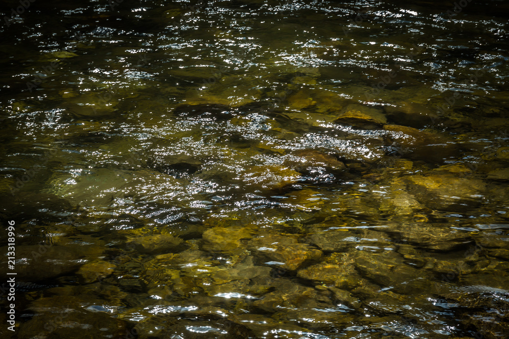 River River