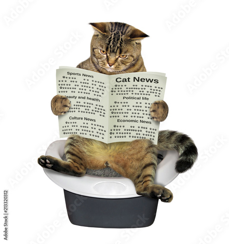 The cat is sitting on the toilet and reading a newspaper. White background.