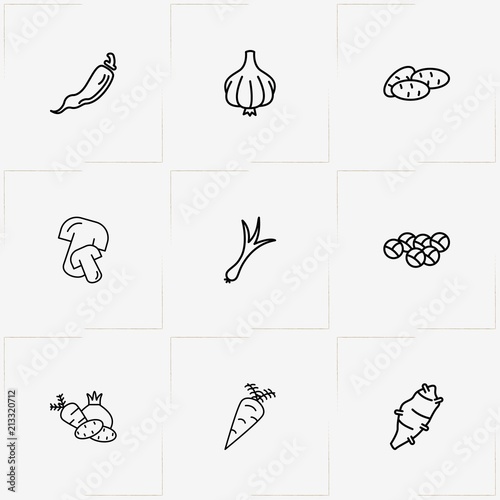 Vegetables line icon set with garlic , ginger and carrot