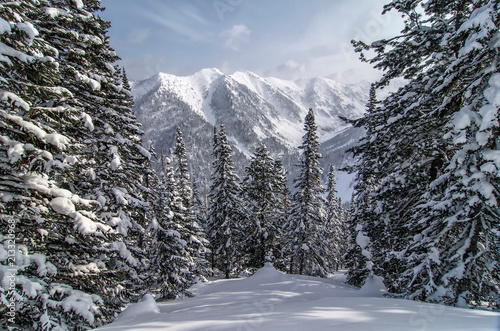 A beautiful mountain landscape in the mountains of Lake Baikal