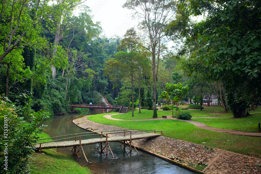 Beautiful nature forest with wooden bridge hanging bridge over the stream in mountain at Thailand