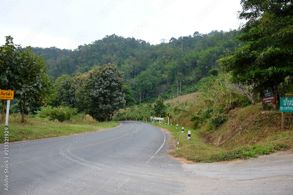 Beautiful landscape natural and road in the morning fog and blue sky on the mountain and the sunrise shining to the mist in forest northern of Thailand.