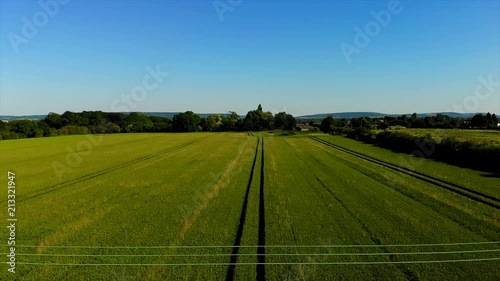 Aerial shot of corn field with pidgin sitting on power line and flying off