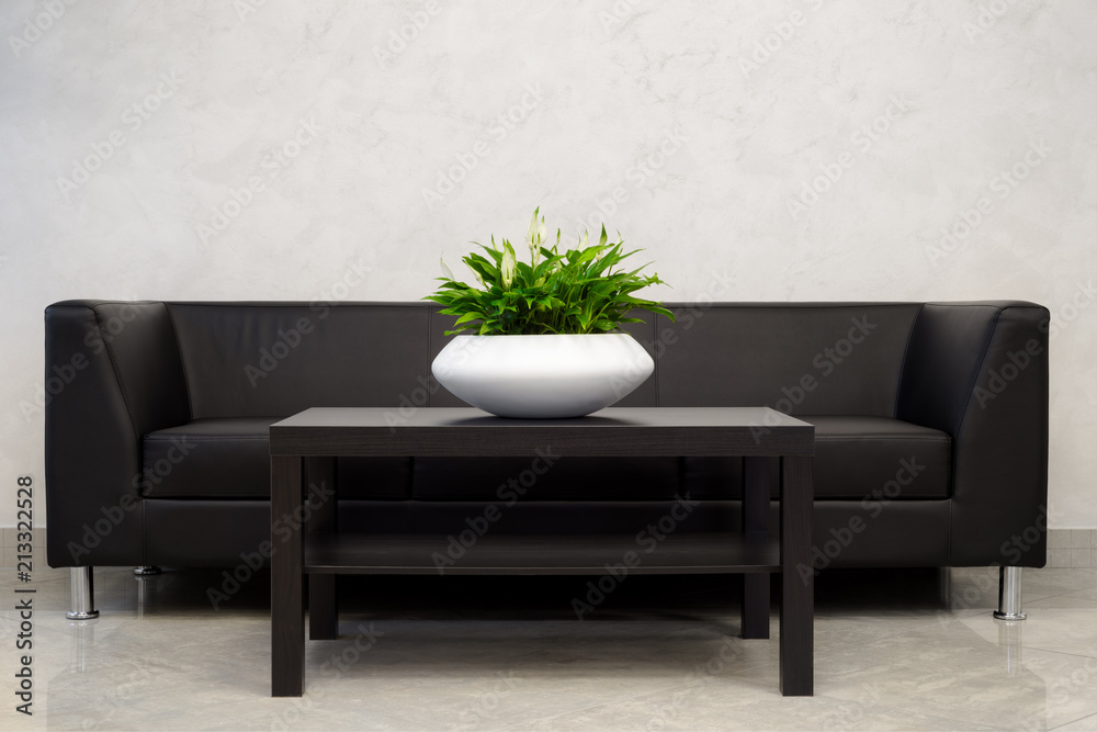Office Interior Element: White Pot With Green Houseplant Spathiphyllum On Dark-Brown Table Near A Black Leather Sofa. Green Office Plant In White Pot. Home Interrior Decoration. Flower In Pot