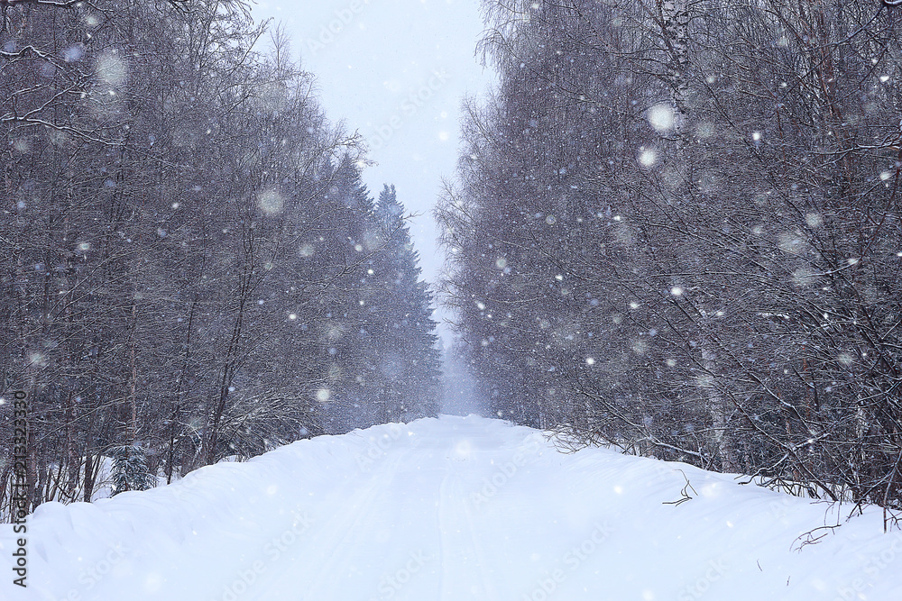 Naklejka premium snow fog landscape snowfall / winter landscape cold seasonal weather, nature in winter form, foggy outside