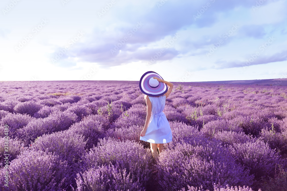 Young woman in lavender field on summer day - obrazy, fototapety, plakaty 