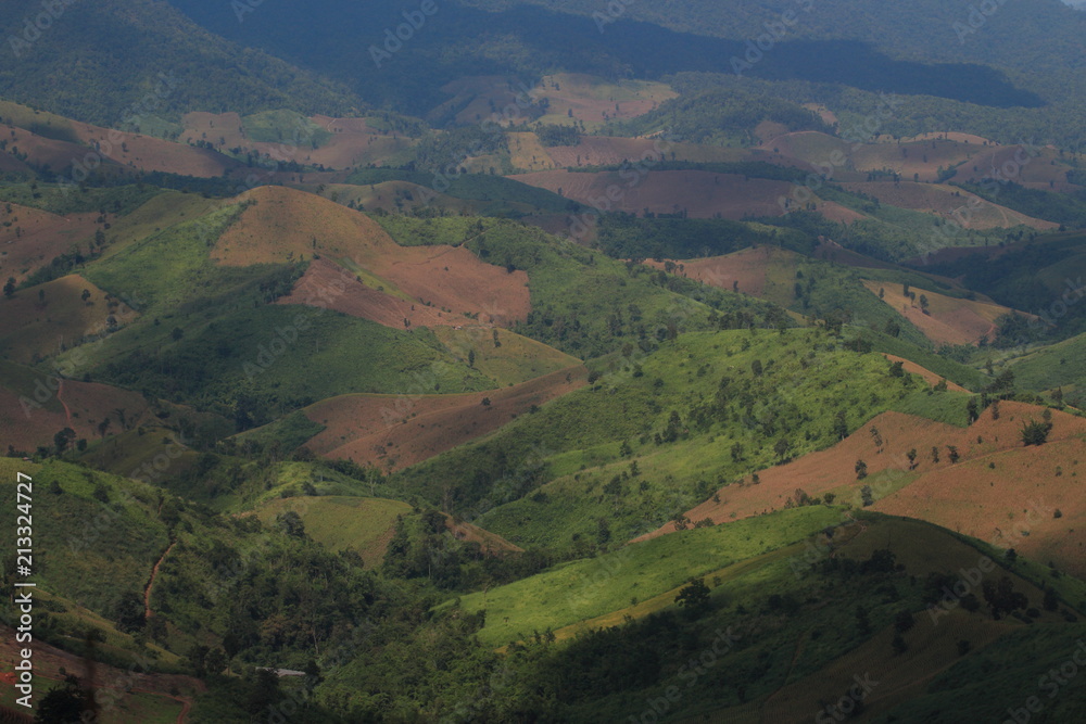 deforestation landscape of intensive used single crop farmland. green trees dotted the harvested corn crops farm on top of a hill in Nan, province in the northern part of Thailand. 