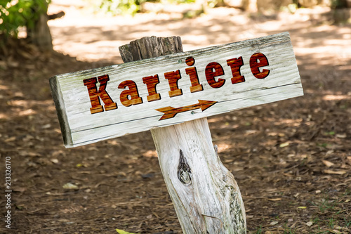 Schild 263 - Karriere