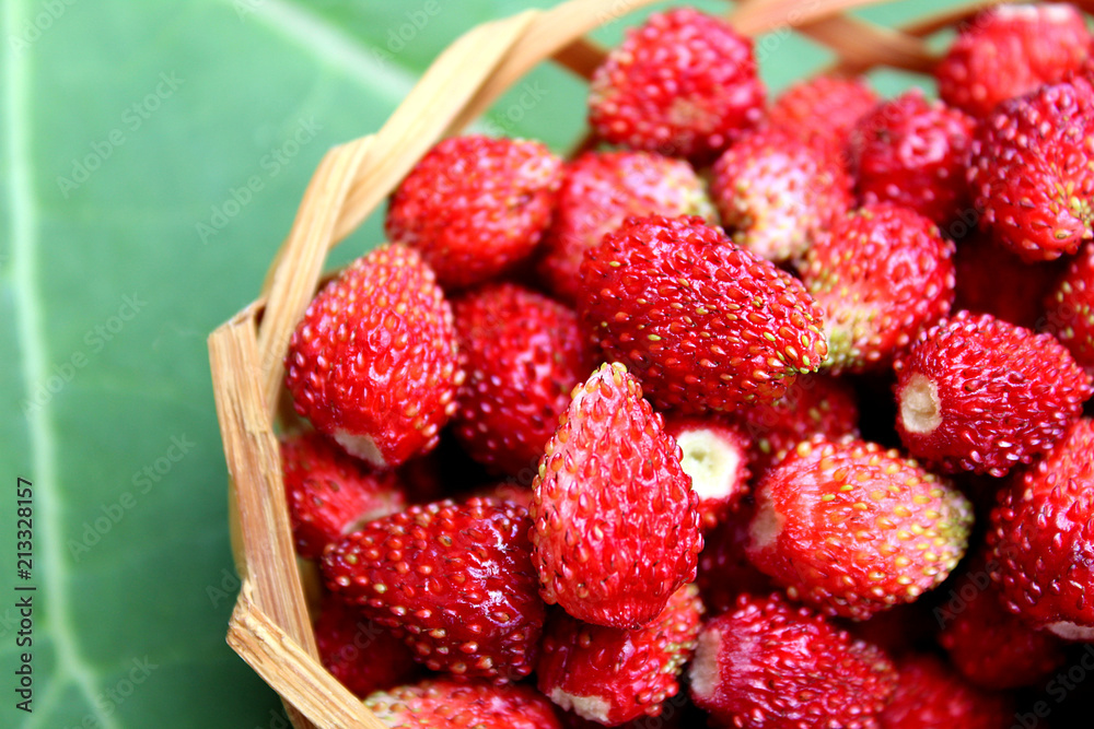 a small basket of delicious juicy ripe wild strawberries