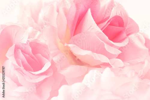 Fototapeta Naklejka Na Ścianę i Meble -  Sweet color roses in soft style for background
