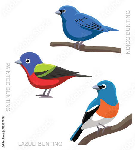 Bird Bunting Set Cartoon Vector Illustration