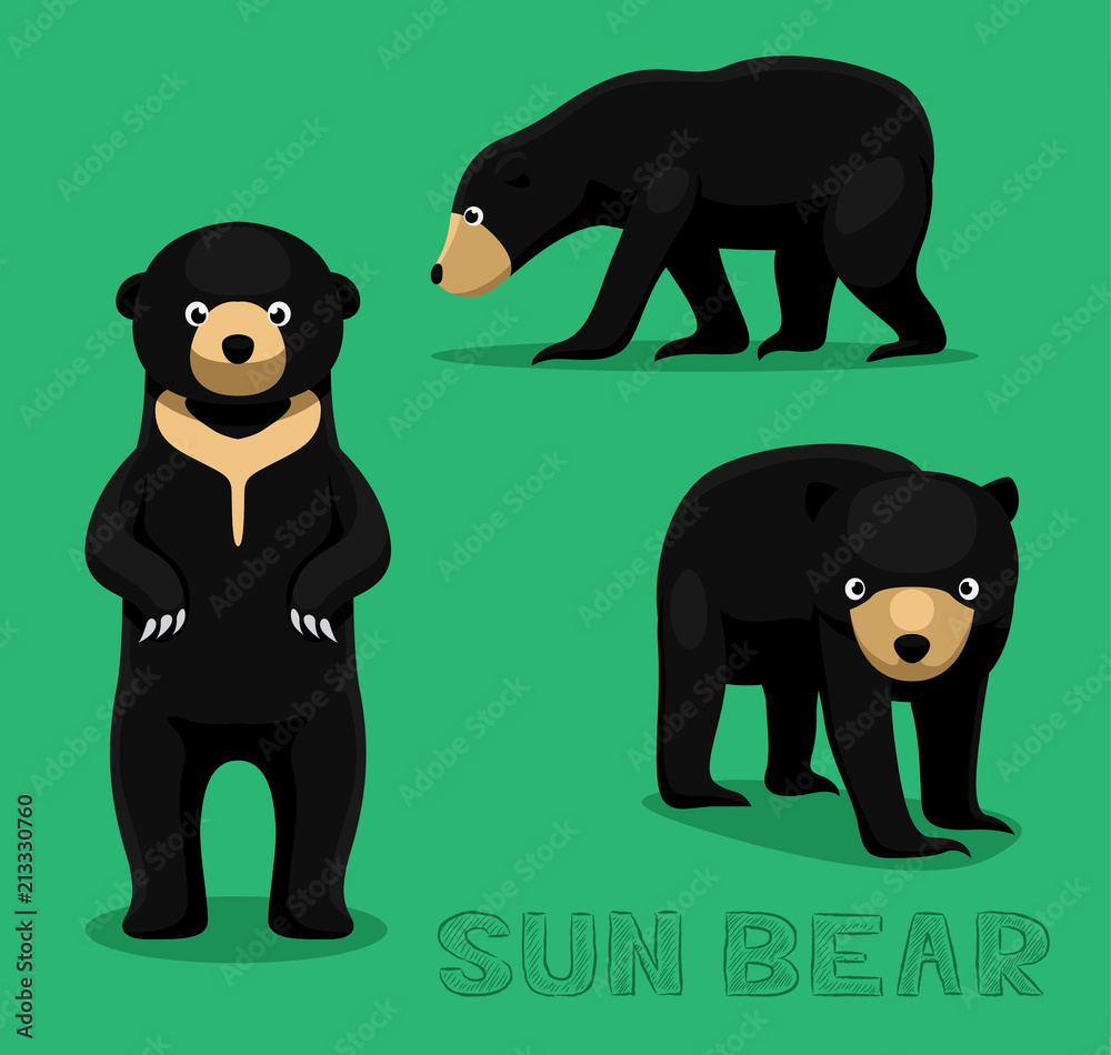 Fototapeta premium Bear Sun Bear Cartoon Vector Illustration