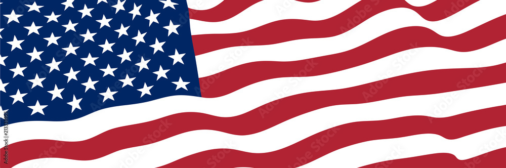 Fototapeta premium United States of America Flag