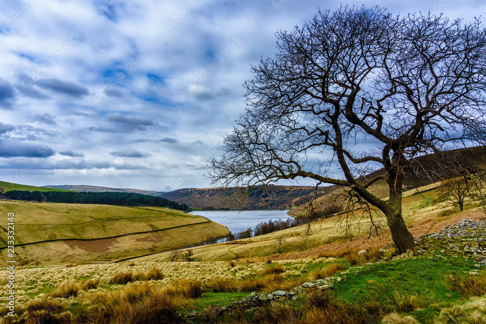 View of the Kinder Scout Reservoir with single tree View of the Kinder Scout Reservoir with single tree