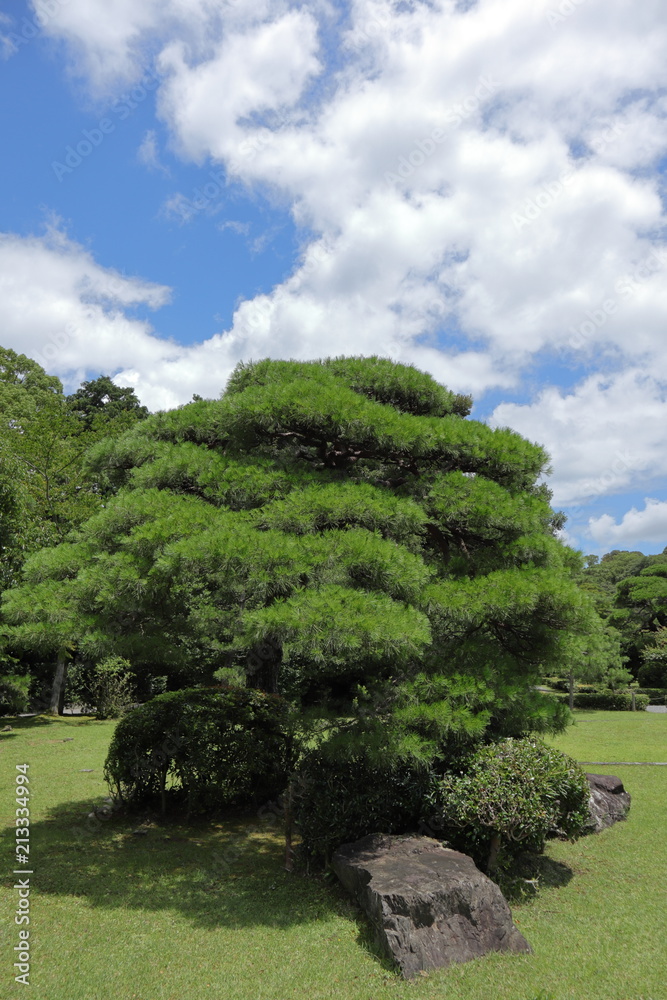 伊勢の風景