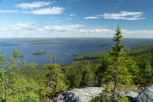 Landscape view over lake Pielinen in Koli National Park in Finland at sunny summer day