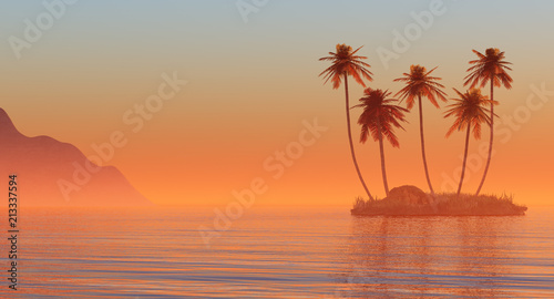Palm trees on a small island.