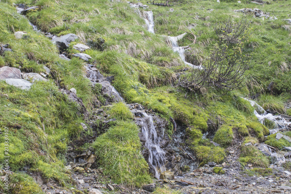 Mountain river with a little waterfall with moss and grass Mountain river with a little waterfall with moss and grass