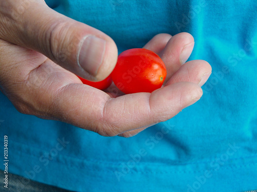 Hand With Tomato