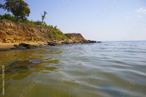 Sea shore with forest under sky. Beautiful landscape with trees on cliff and sea. View from the sea