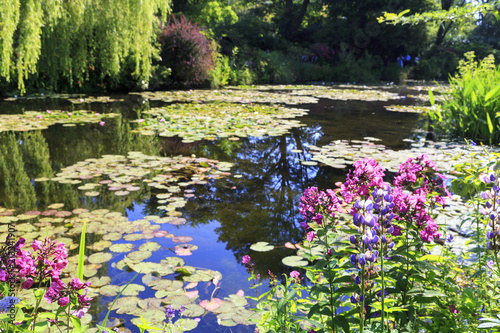 Fotografie Botanical garden of painter Monet in Giverny, France