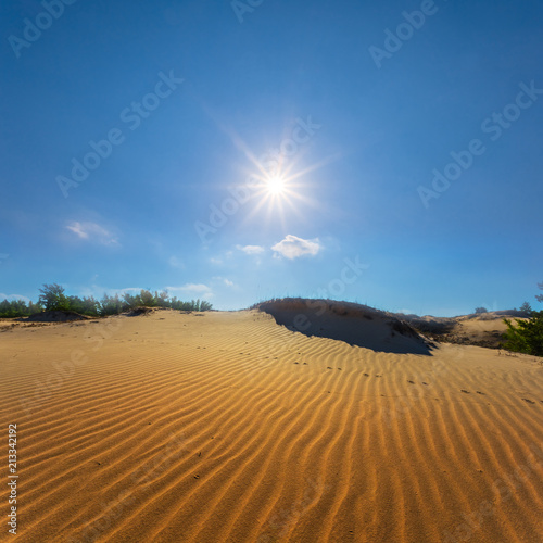 hot summer sandy desert landscape