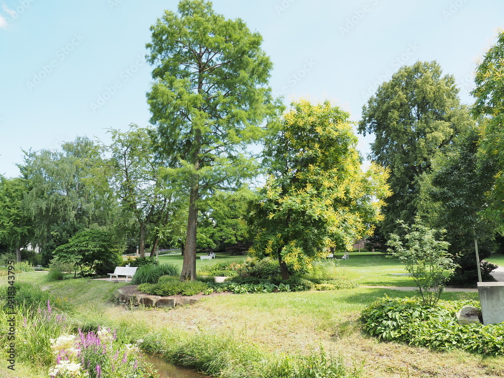 Bad Dürkheim an der Deutschen Weinstraße
