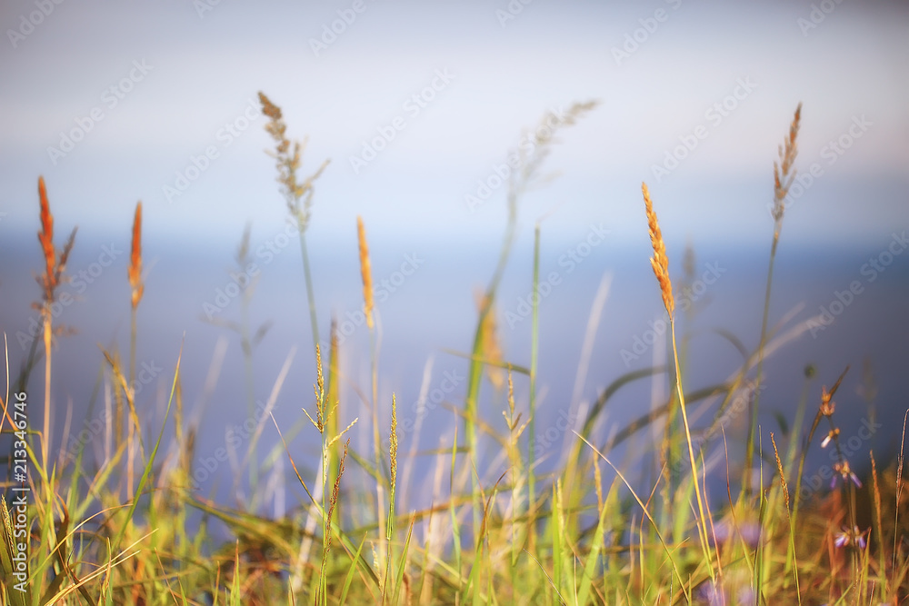 Fototapeta premium autumnal background beach / dry yellow grass by the sea, landscape background with islands in the sea