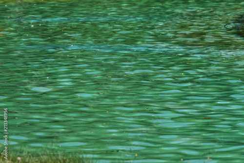 Water background. Surface of green Natural water. Aqua pattern. Rippled aqua texture. Waves in a water. 