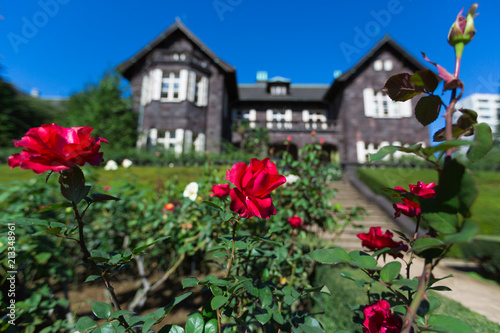 旧古河庭園の洋館とバラ園
