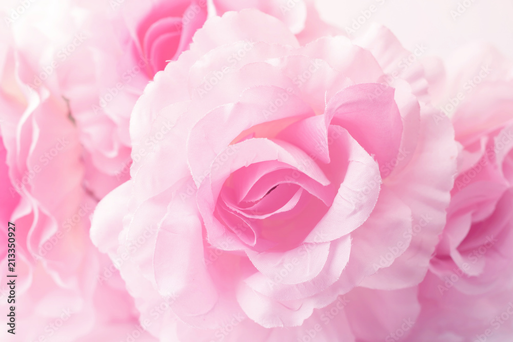 Sweet color roses in soft style for background