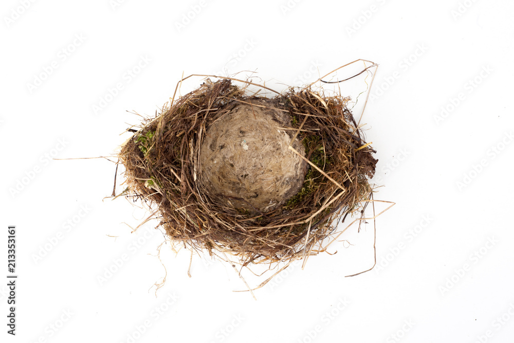 Obraz premium Bird Nest