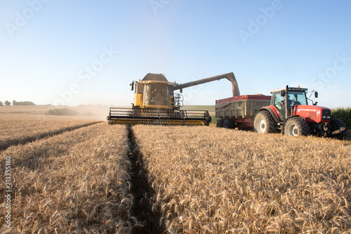 Moisson du blé et tracteur photo