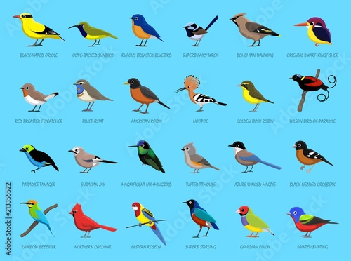 Colorful Little Birds Side View Cartoon Vector Illustration