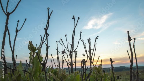 Sunset in the Country with cloud // Dullstroom, South Africa // 4K Sunset time-lapse photo