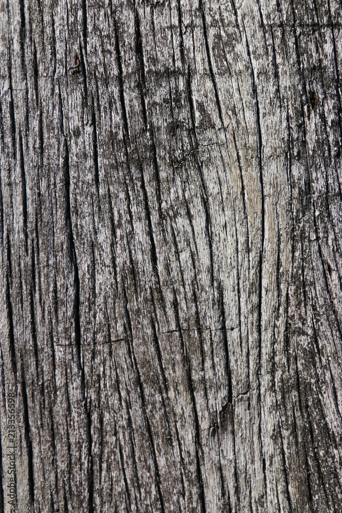 Old grungy wood planks background texture. Old grungy wood planks background texture.