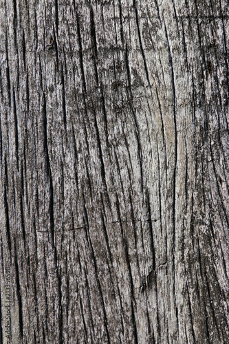 Old grungy wood planks background texture.
