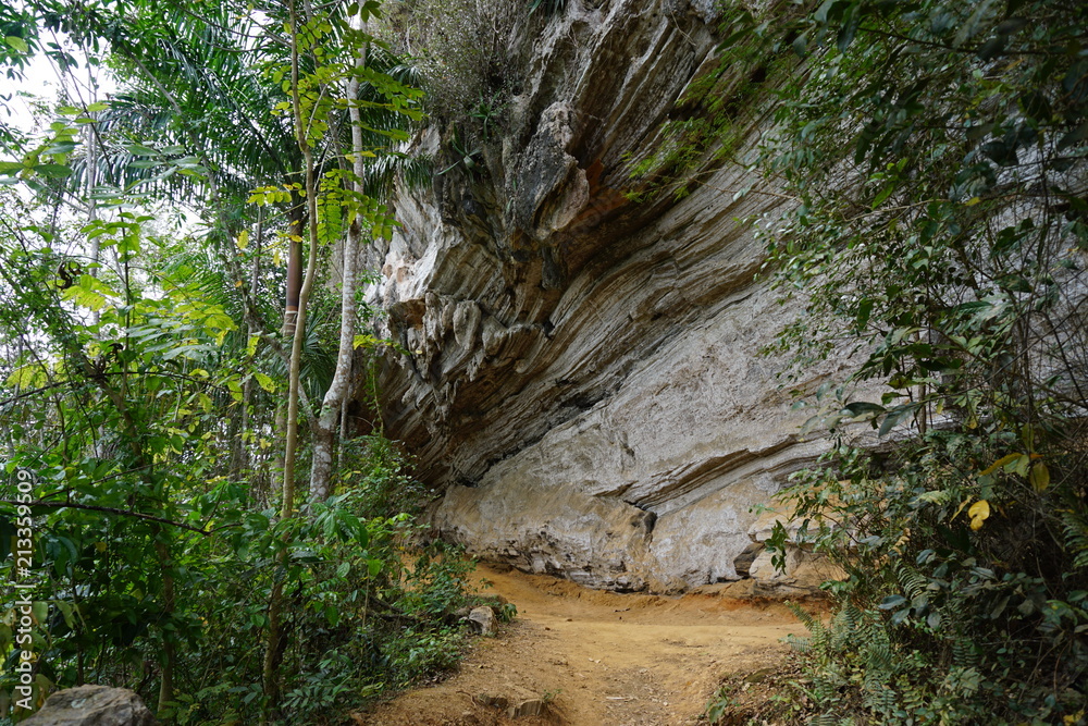 Felsformationen - Wanderweg im Regenwald auf Kuba bei Trinidad