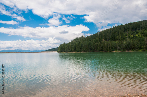 Crystal clean artificial lake near pine forest in Romania, blue sky with white clouds .