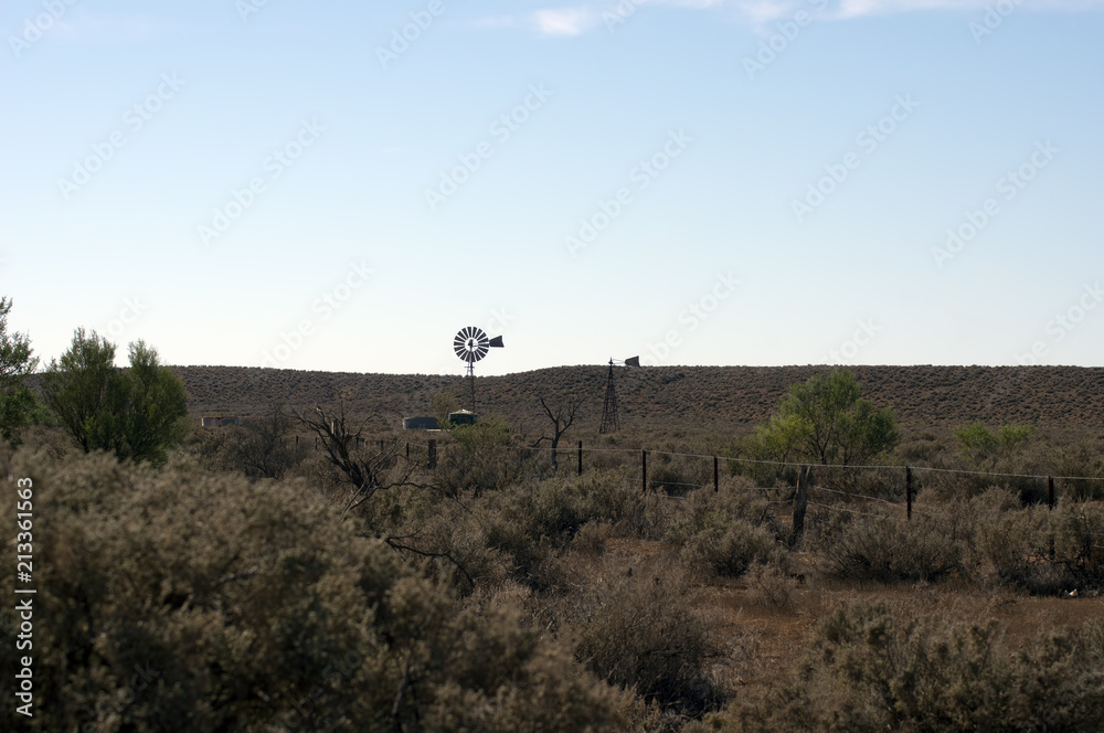 Windmill on drive to Kanyaka, Flinders' Ranges, South Australia