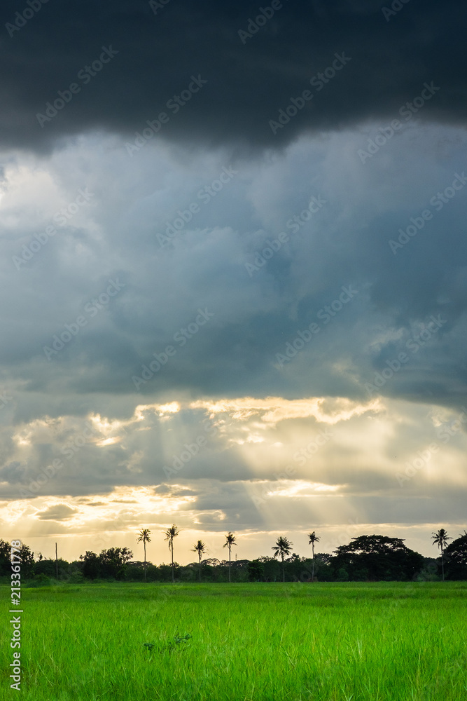 Ray of light sky with rain storm beautiful natural phenomenon in farm.