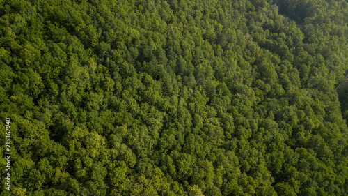 Russian Forest And Mountains Under Blue Sky By Aerial Drone. Stunning Aerial Drone Stock Footage of South russian Forest And Mountains Under Blue Sky