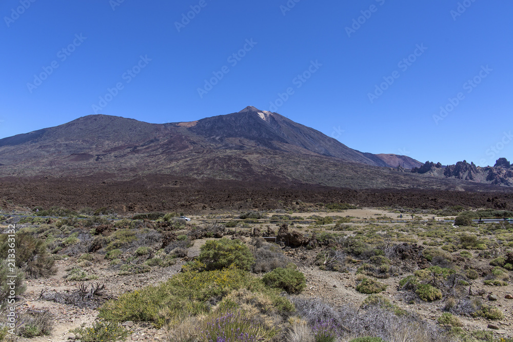 The Teide volcano in Tenerife. Spain. Canary Islands. The Teide is the main attraction of Tenerife. The volcano itself and the area that surrounds it form the Teide national Park.