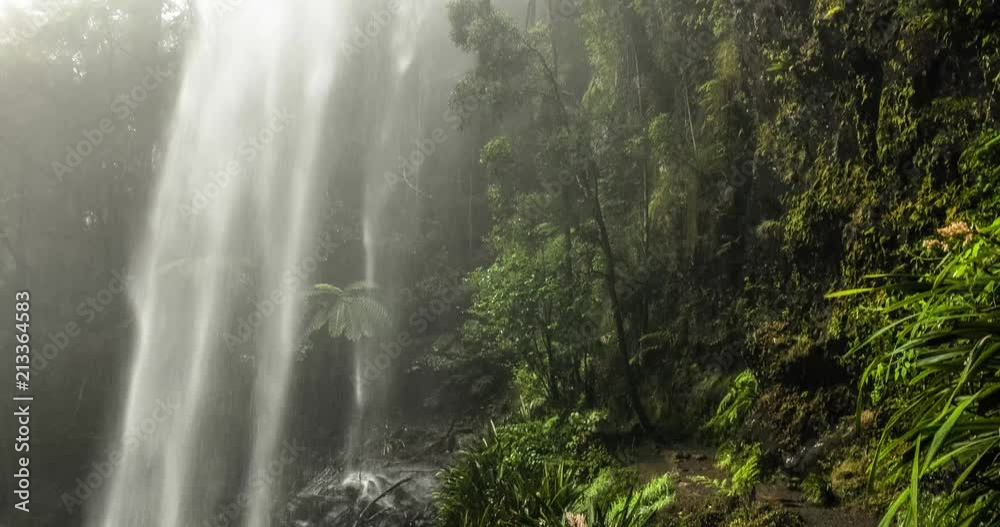 Twin Falls in Springbrook National Park, Australia Twin Falls in Springbrook National Park, Australia