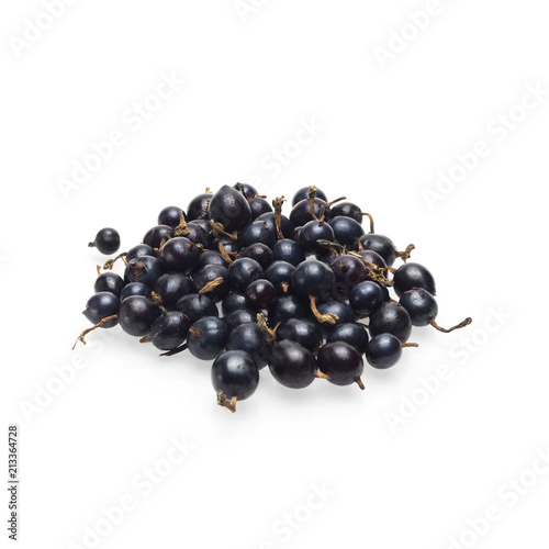 black currant berry fresh vitamin